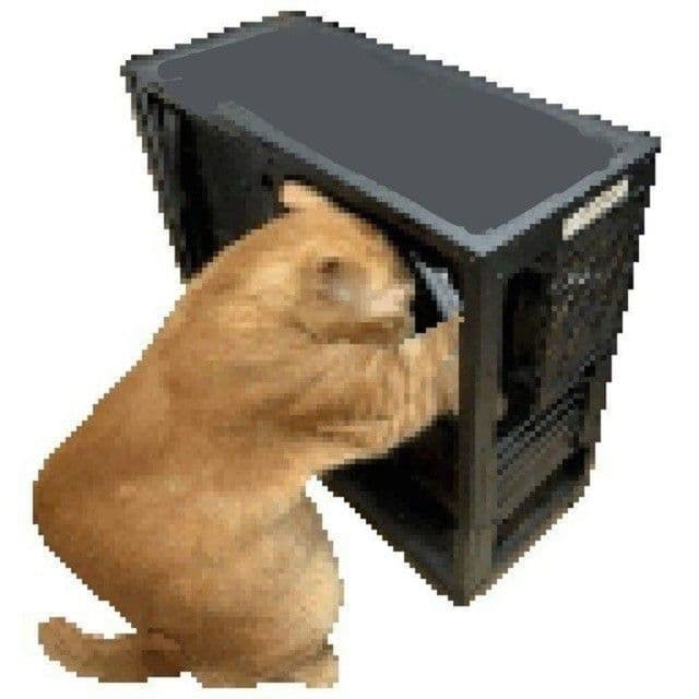 Constructor cat